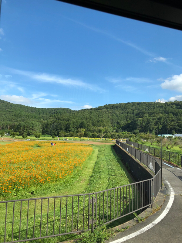 ジムに行く必要があるか？