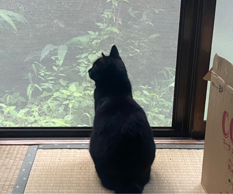 人手不足の解消は難しい話