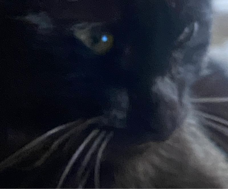 いつもとは逆回りで買い出しに出る話