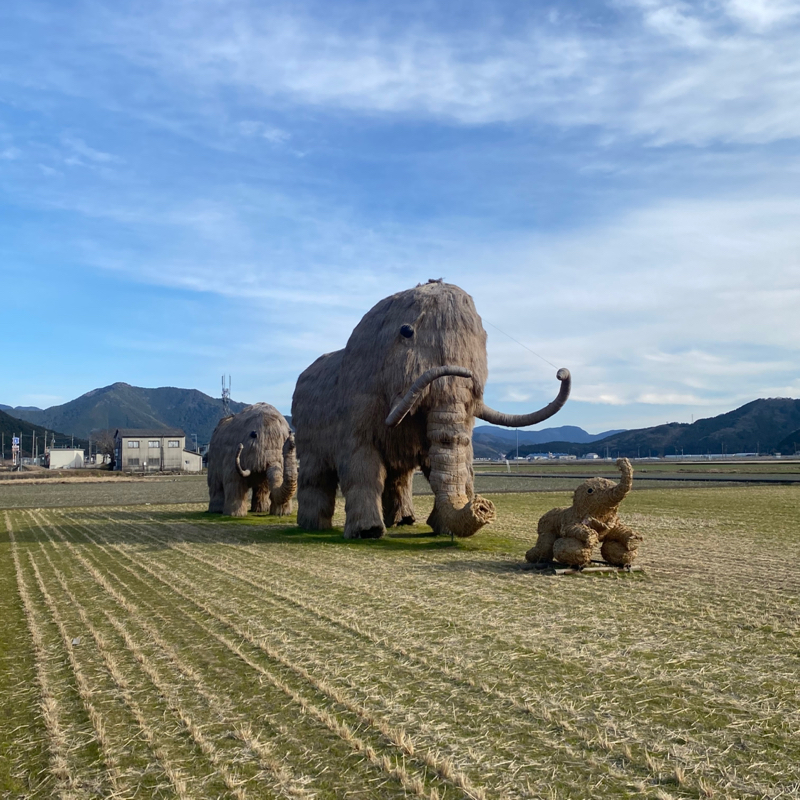 たまたま店からわざわざ店へと言う話