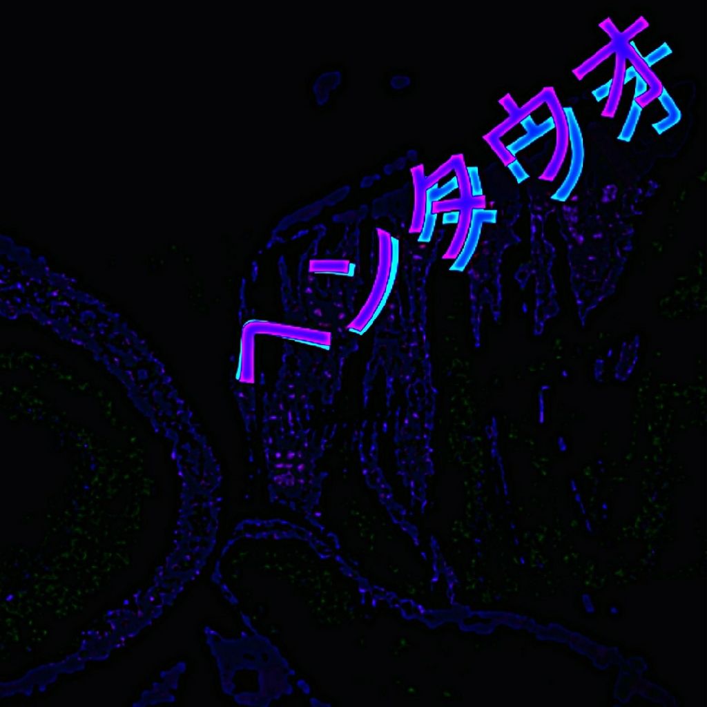 ヘンタウオ/鶴水栄斗