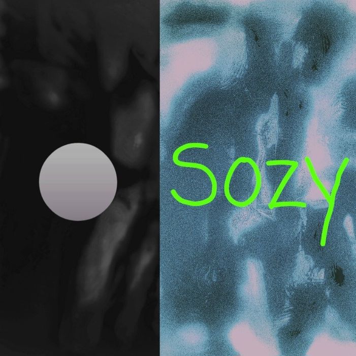 楠尾輪 編夢/Sozy