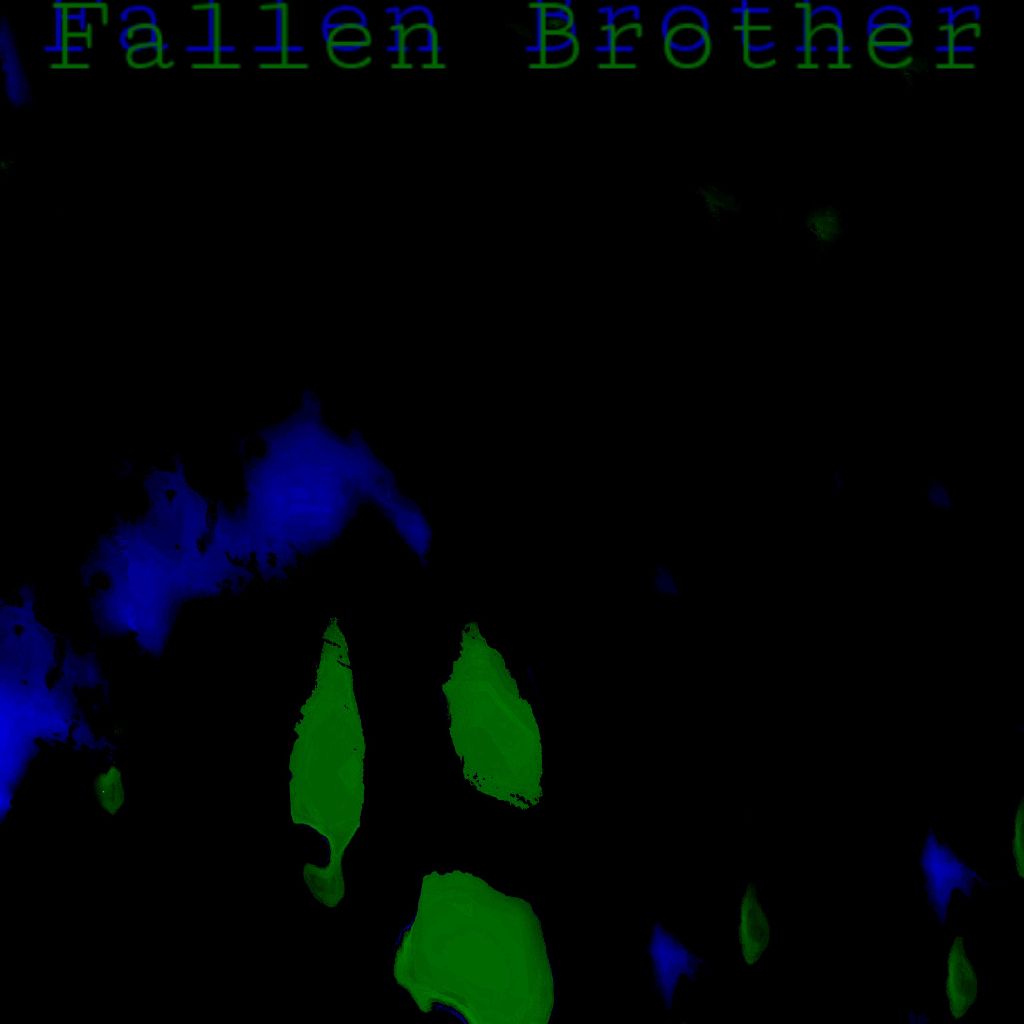 Fallen Brother 