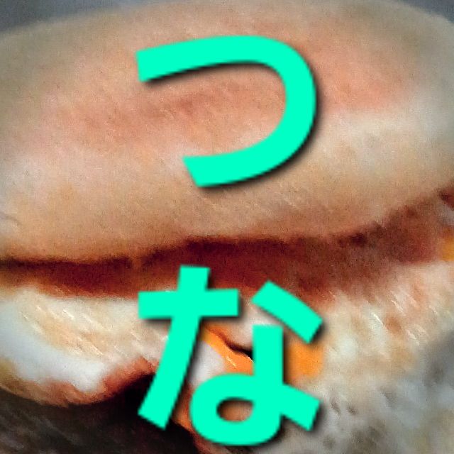 つな 