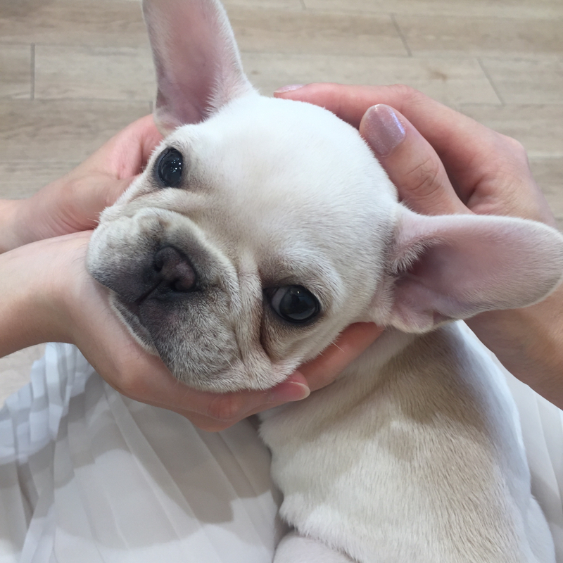 買ってよかった！魔法の4アイテム