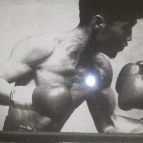 まきちゃんからのギフト  ②