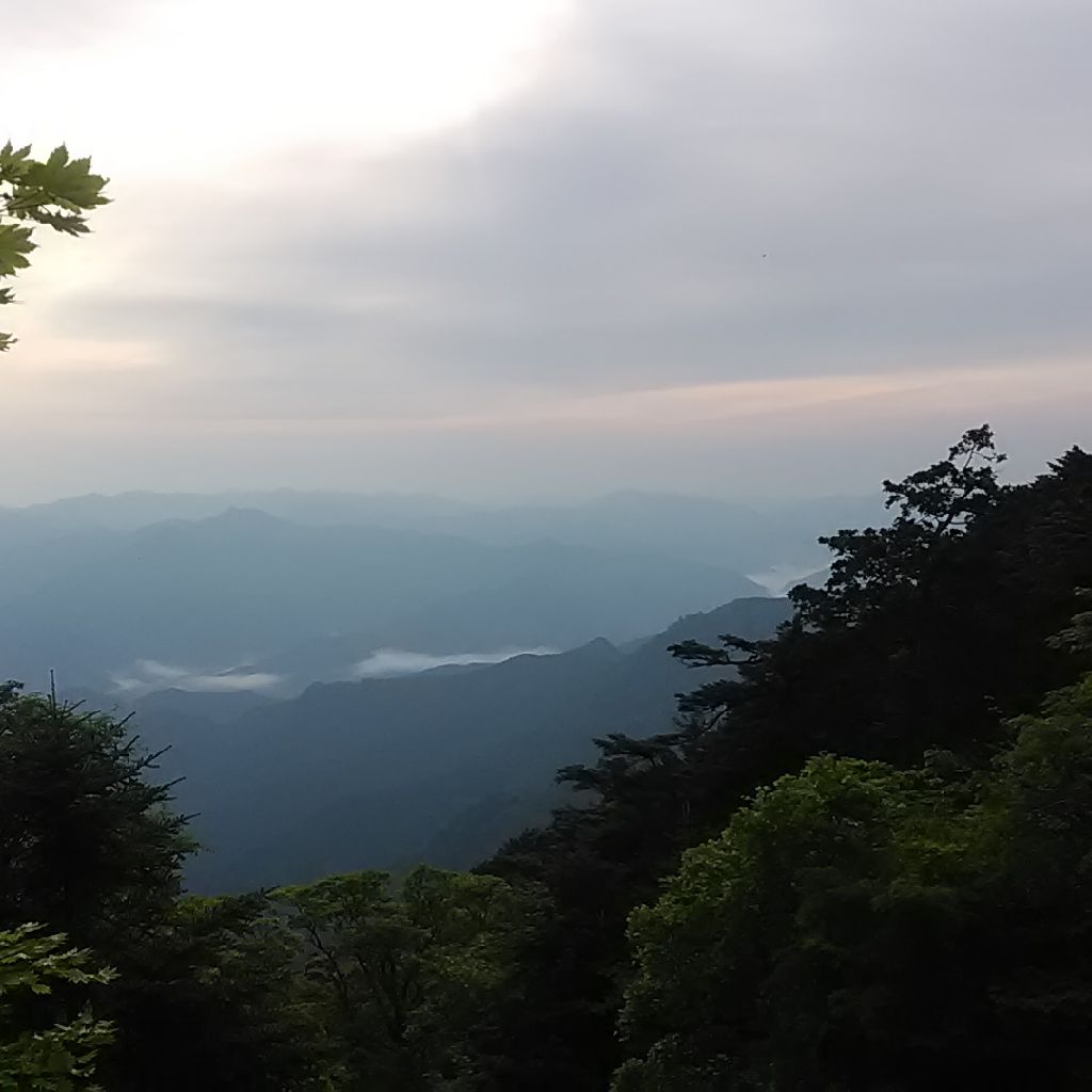 観音経（かんのんきょう）