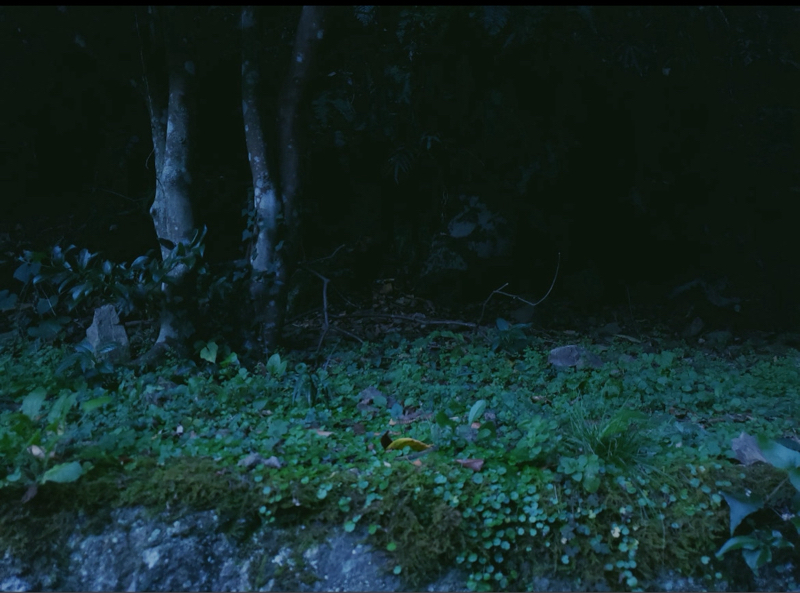 おばあちゃんちの雰囲気を味わってください