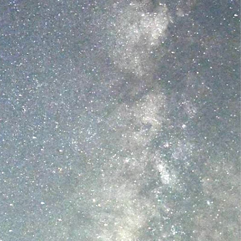 山のおずぅさん便り9月号