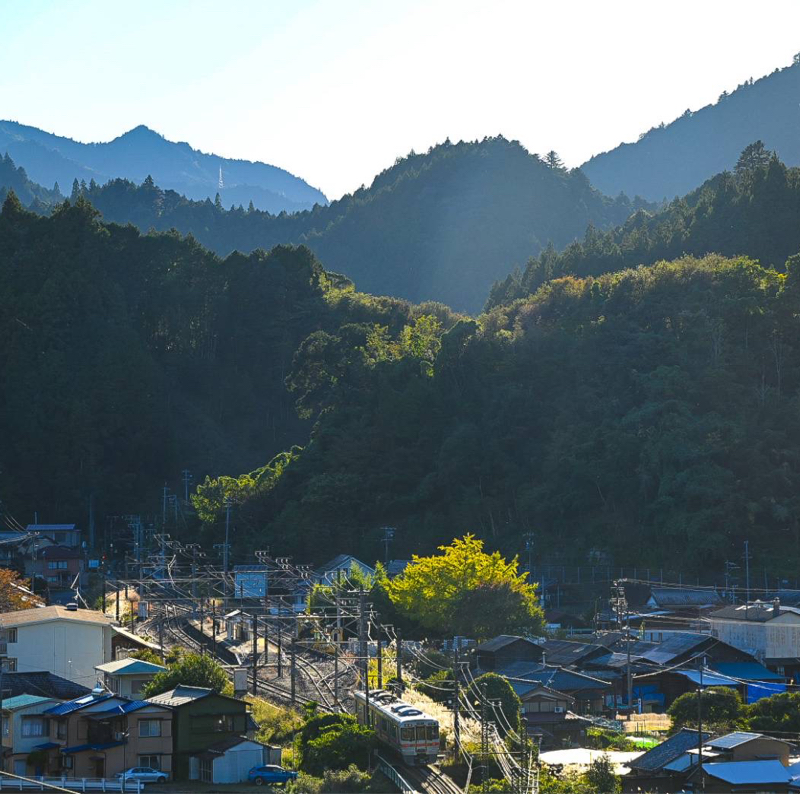 山のおずぅさんと土手のおずぅさん／コラボ