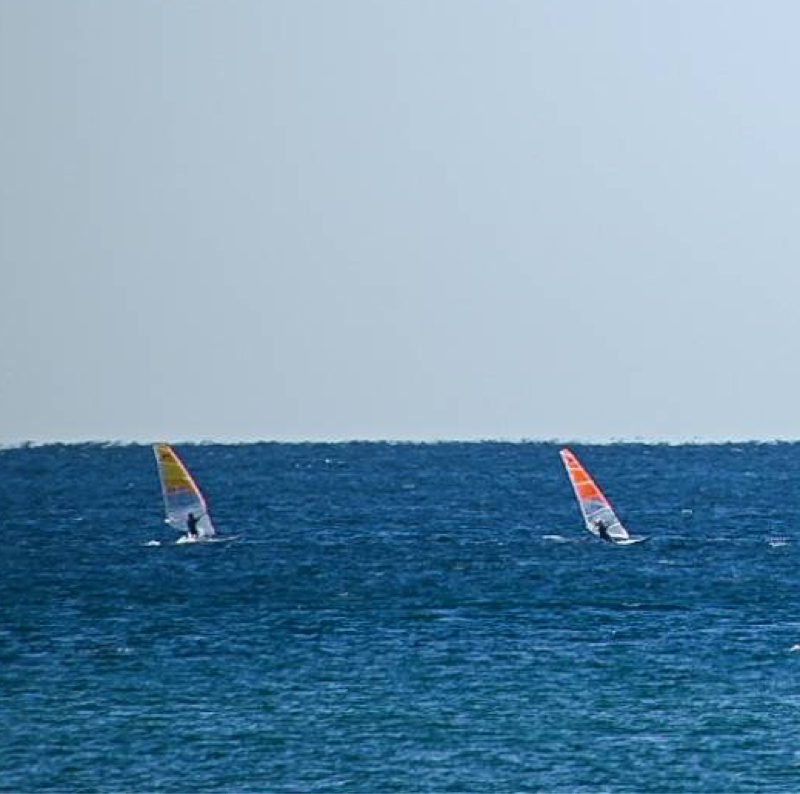 日常   変な頬､映画 ､海など