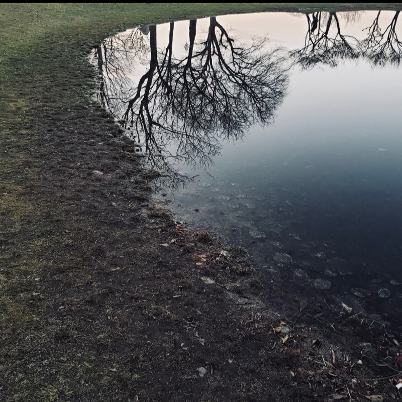 もうすぐクリスマスだね（再）🎄