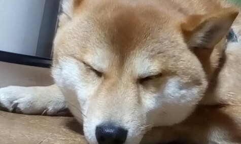 零が話すってよ