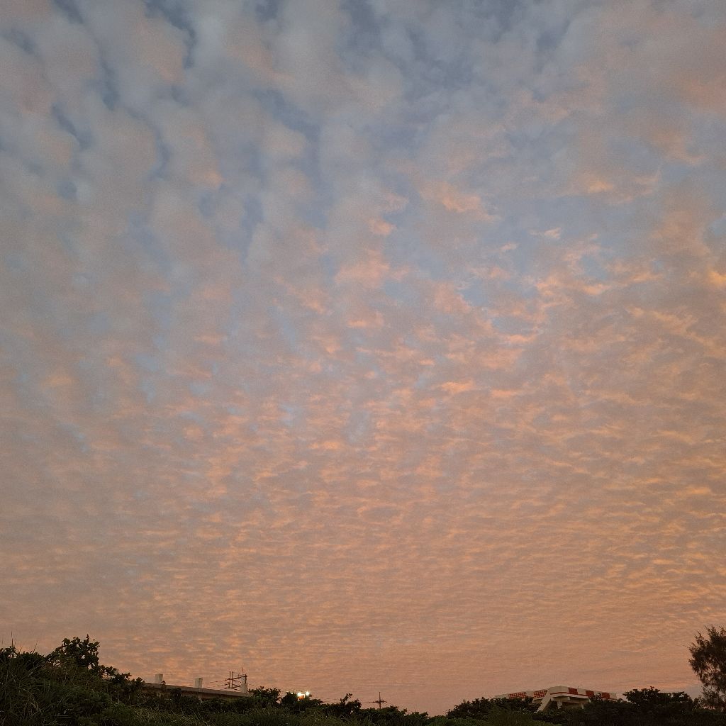 #1 出戻りが近況を語る