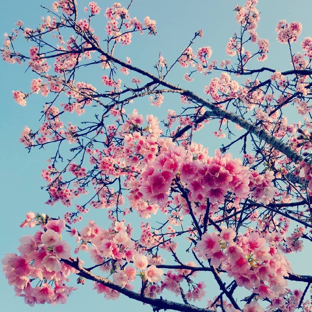 #7 努力が報われた話をします