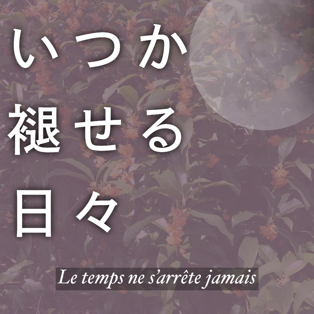 いつか褪せる日々