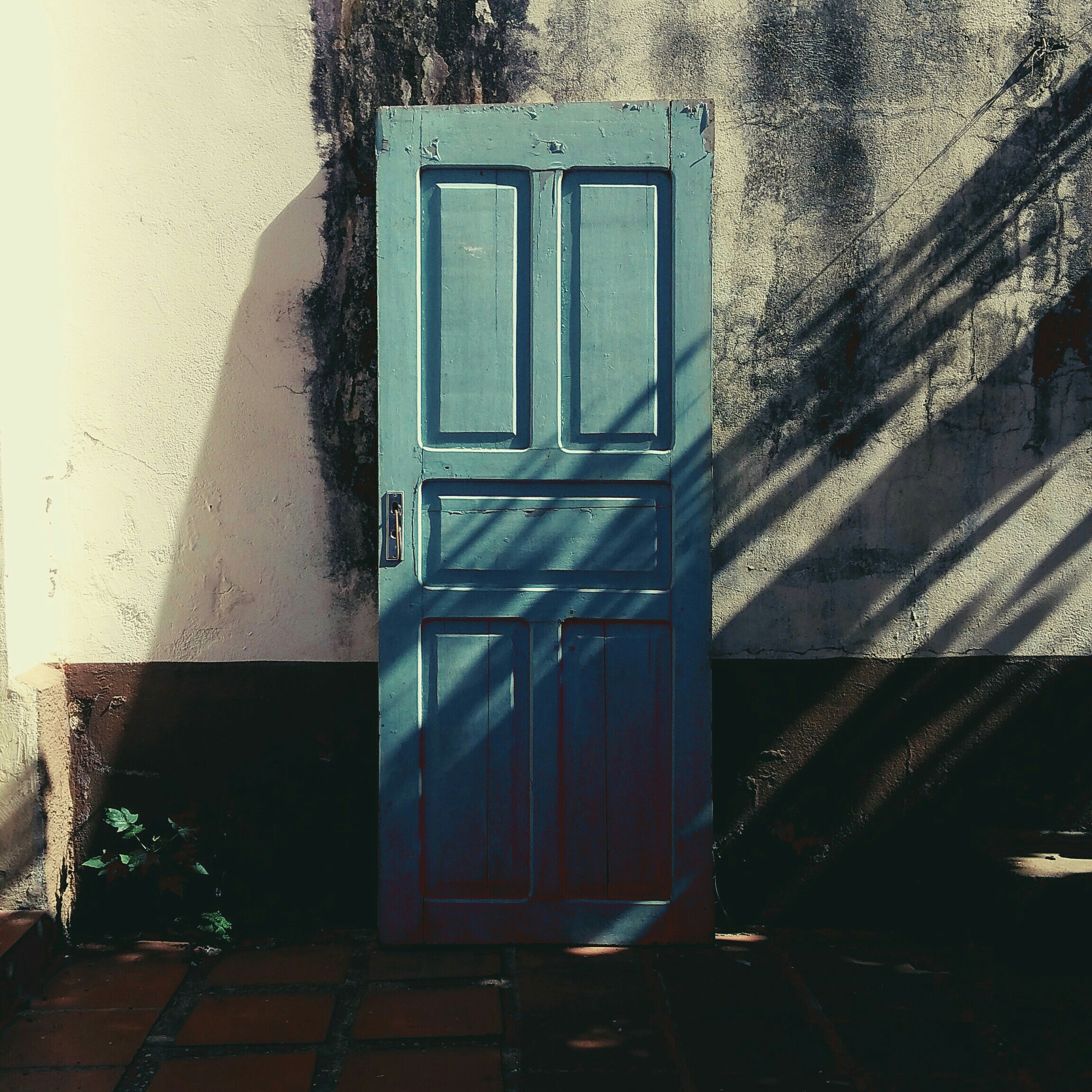 #4 同居人はペルー人