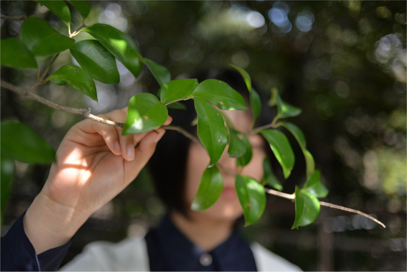 架空書林の徒然日々草