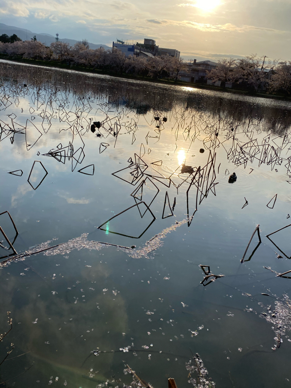 アラサーレズビアン 