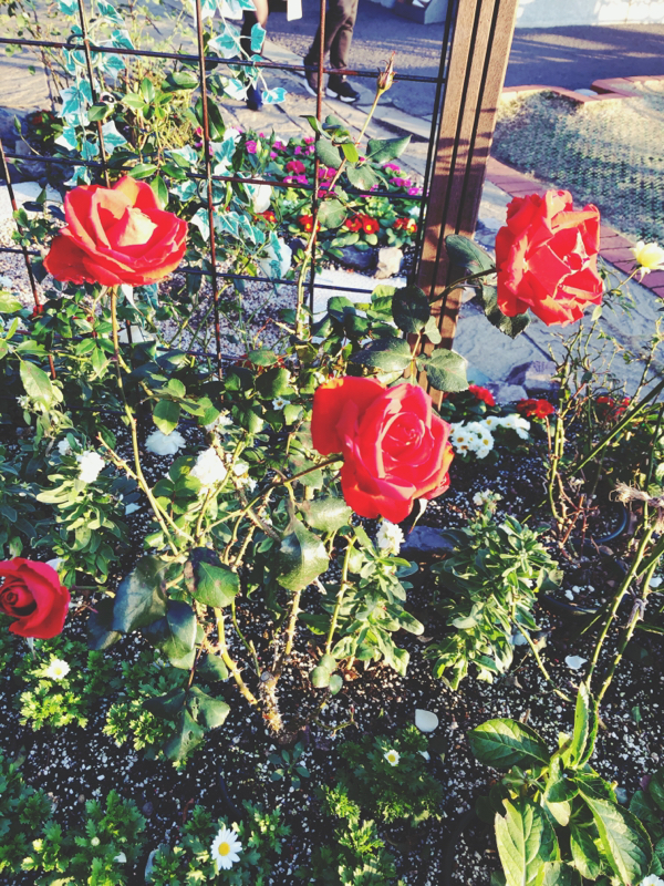 都会に住みてぇ