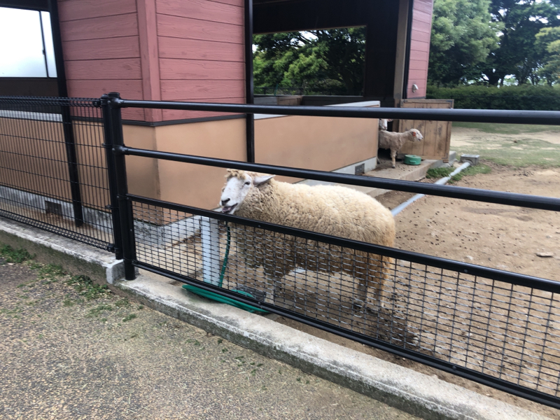 すきなボーイズラブのはなし