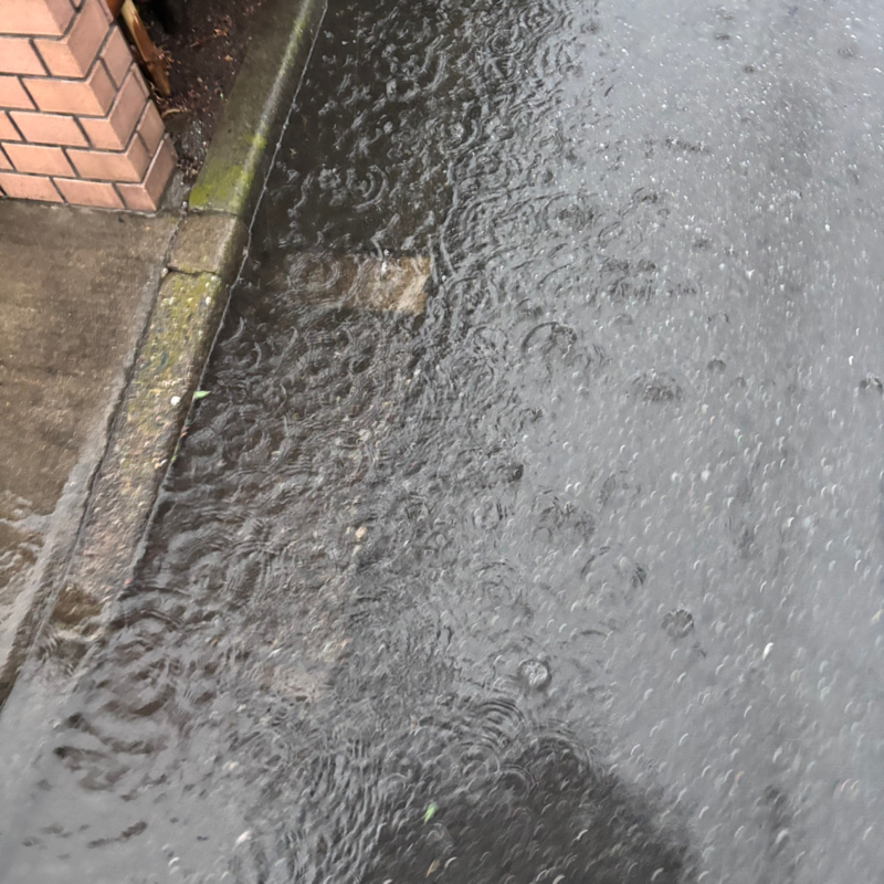 #129 台風の中帰宅