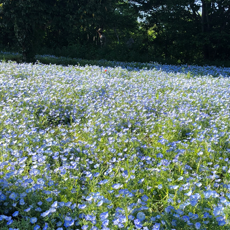 言葉について