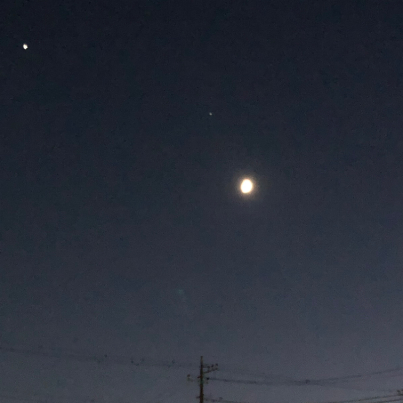 いつか星座になる日