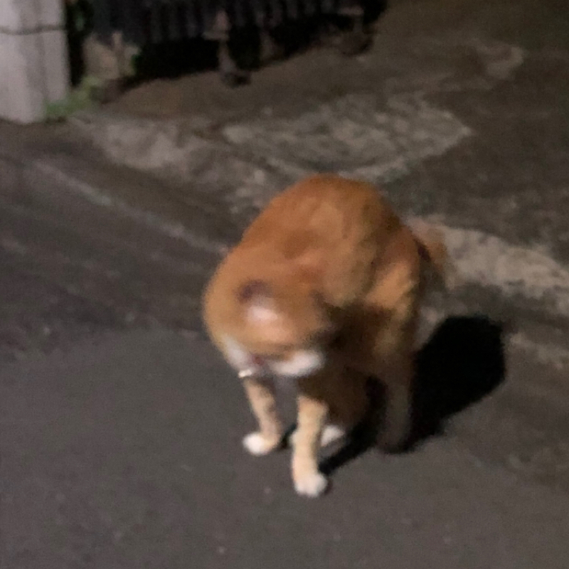 のわ