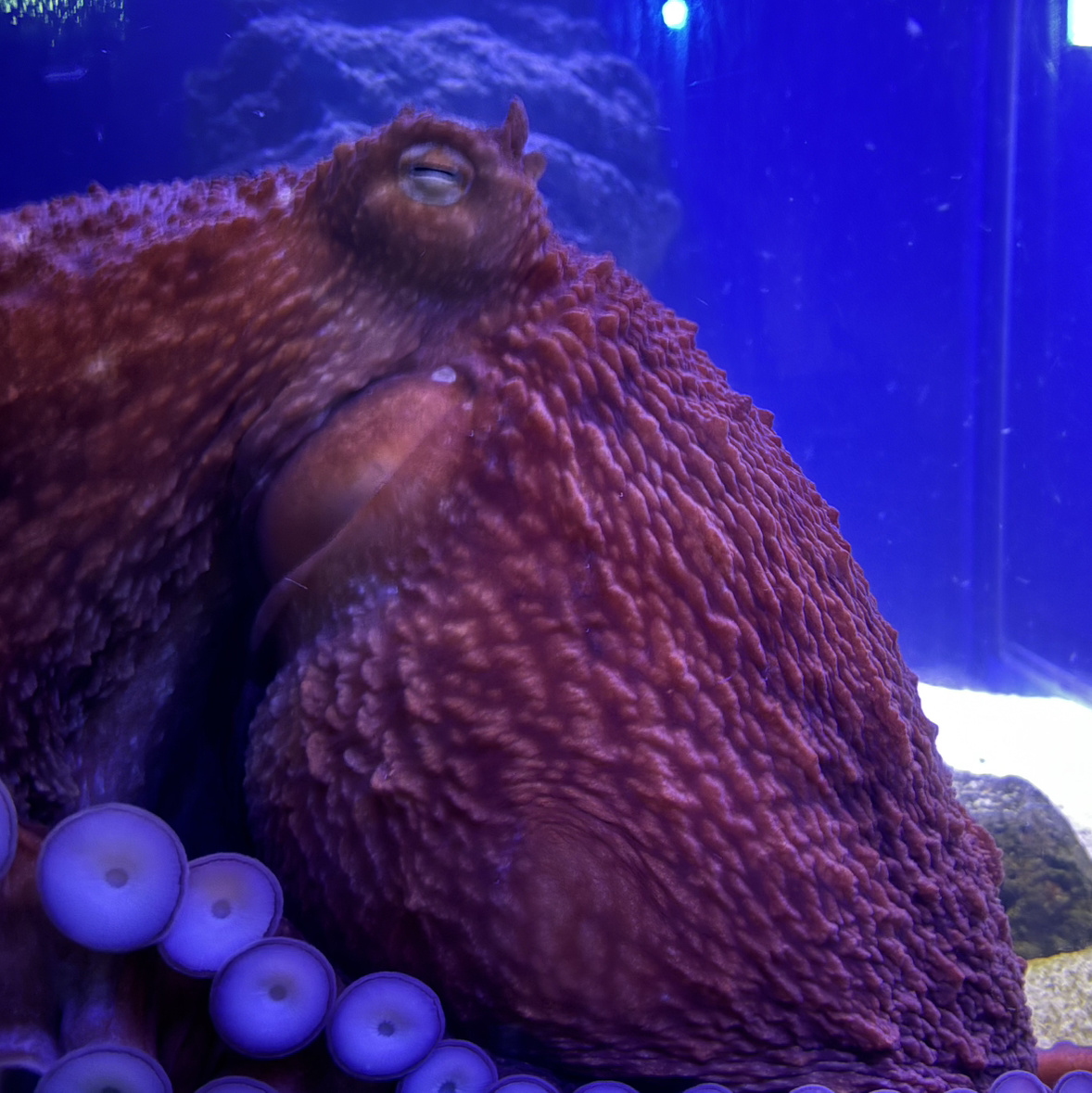 ドタバタ準備