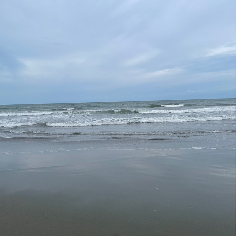 海 波の音🌊🐬🏝