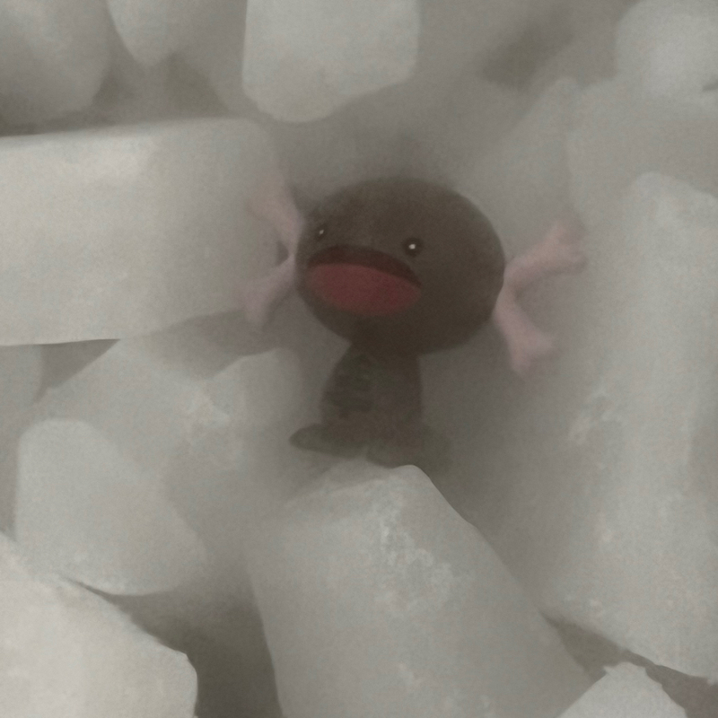 木のヘラって乾くの待たなきゃいけないんだ