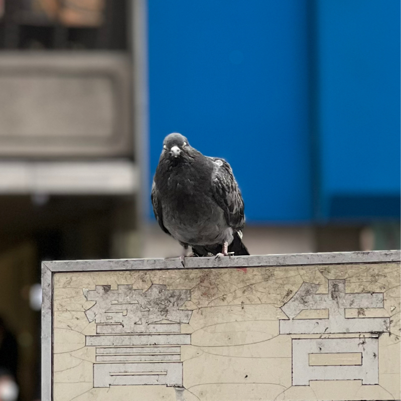 無限に喋る人とつるむと喋り下手になる