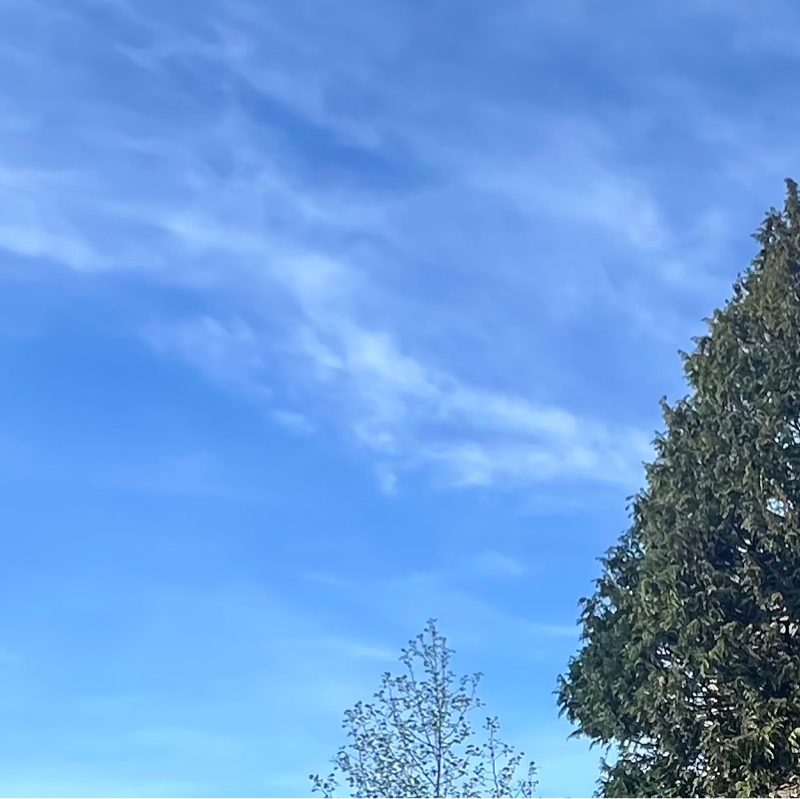 植物状態の人と話せる技術があるんだって