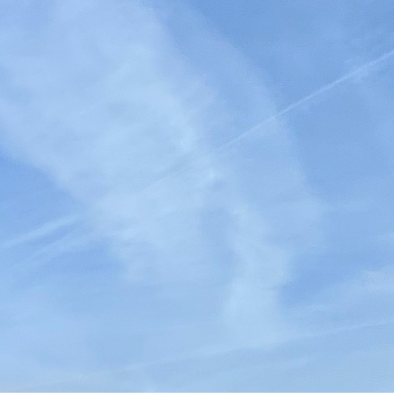 50の質問に3問だけ答えた