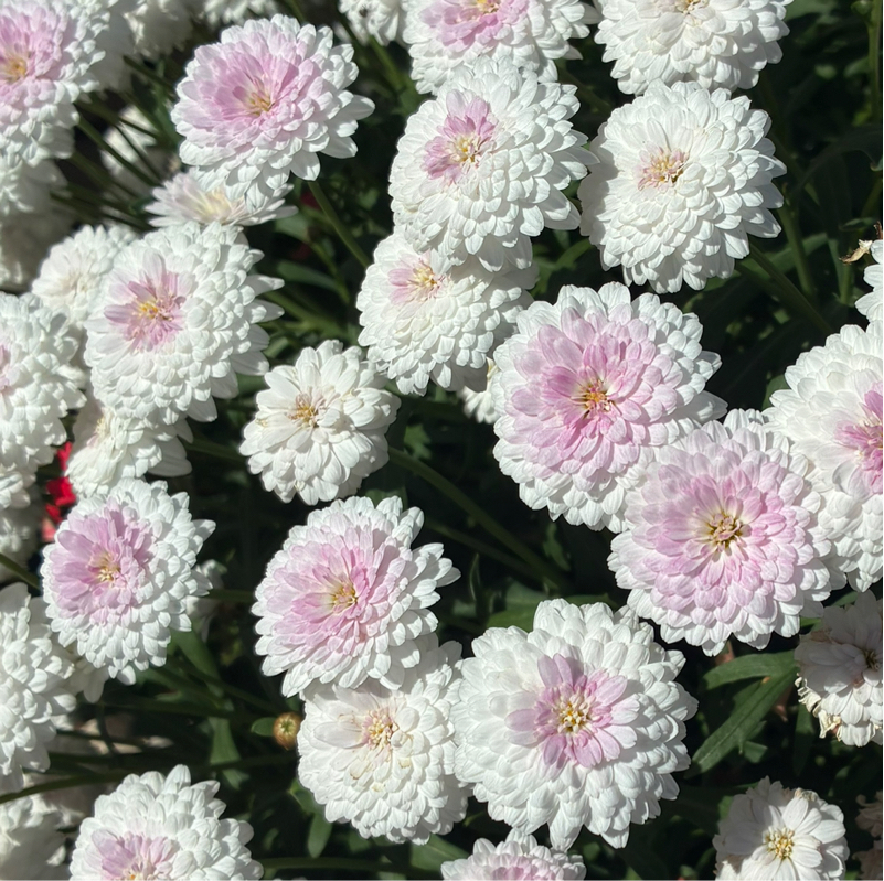 私の心配事…。想像してほしい