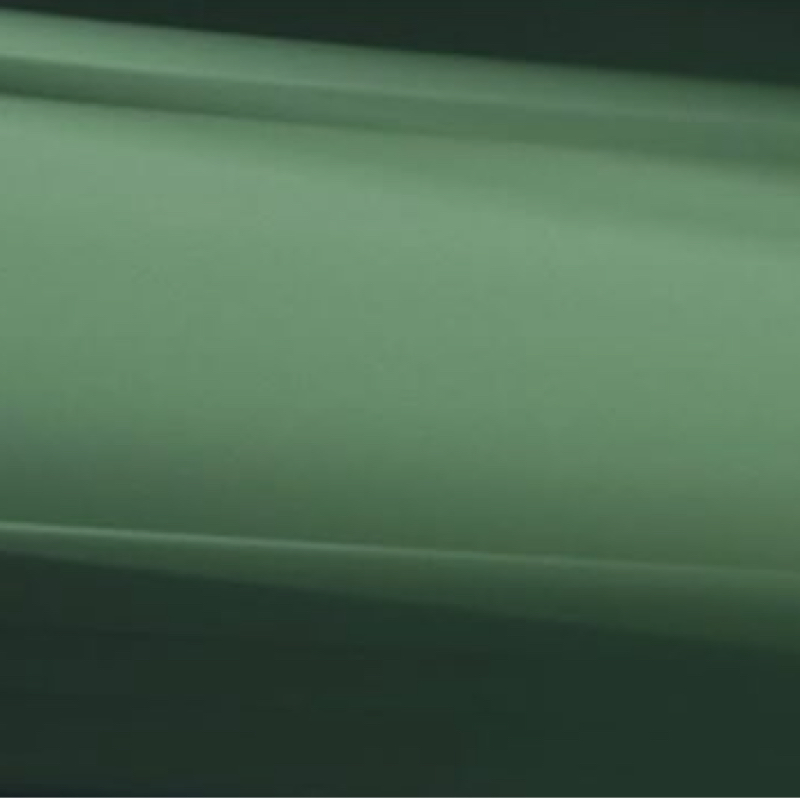 【No voice】15 August 2025