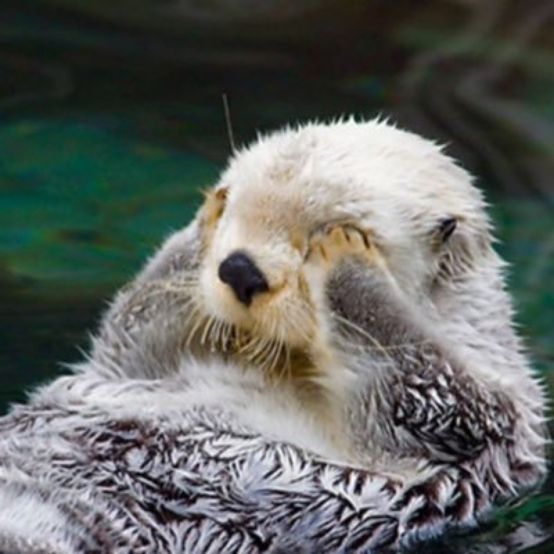 人の恋の話聞くのが楽しい