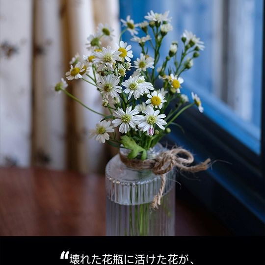 日曜日もよろしくお願いします🙇