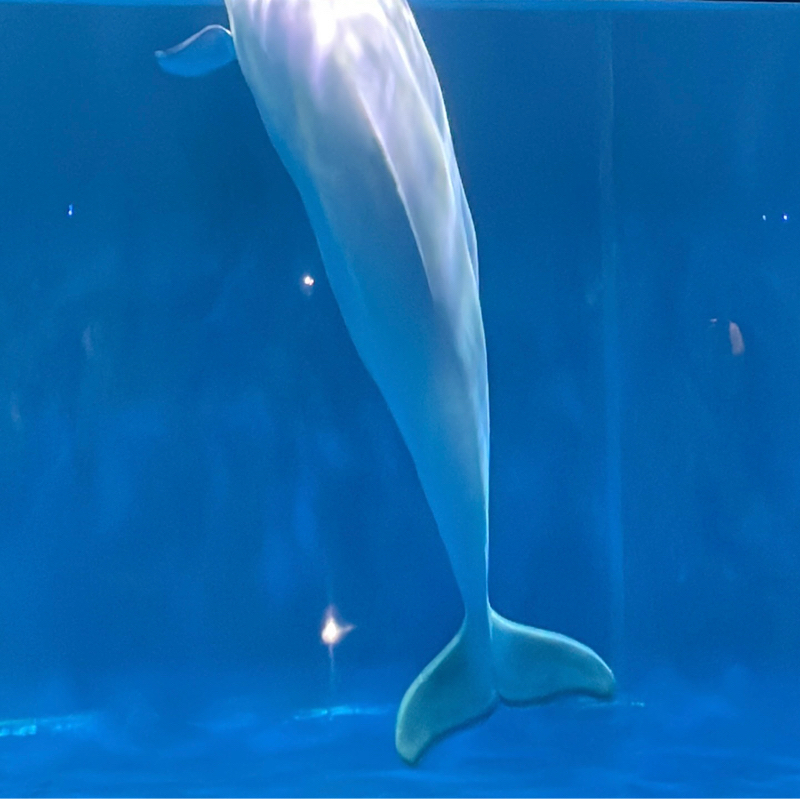 #3 埼玉〜福岡までの車旅記録②