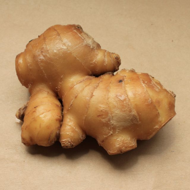 チャンネル実業（ゲスト）と生姜