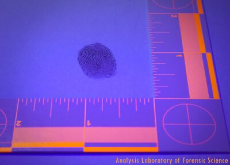 #ブラックライト