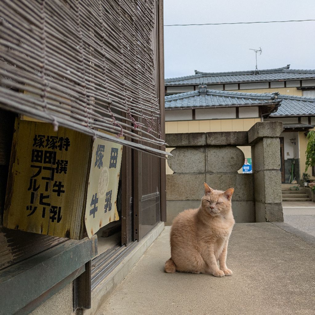 モテたいのかどうなんだ。