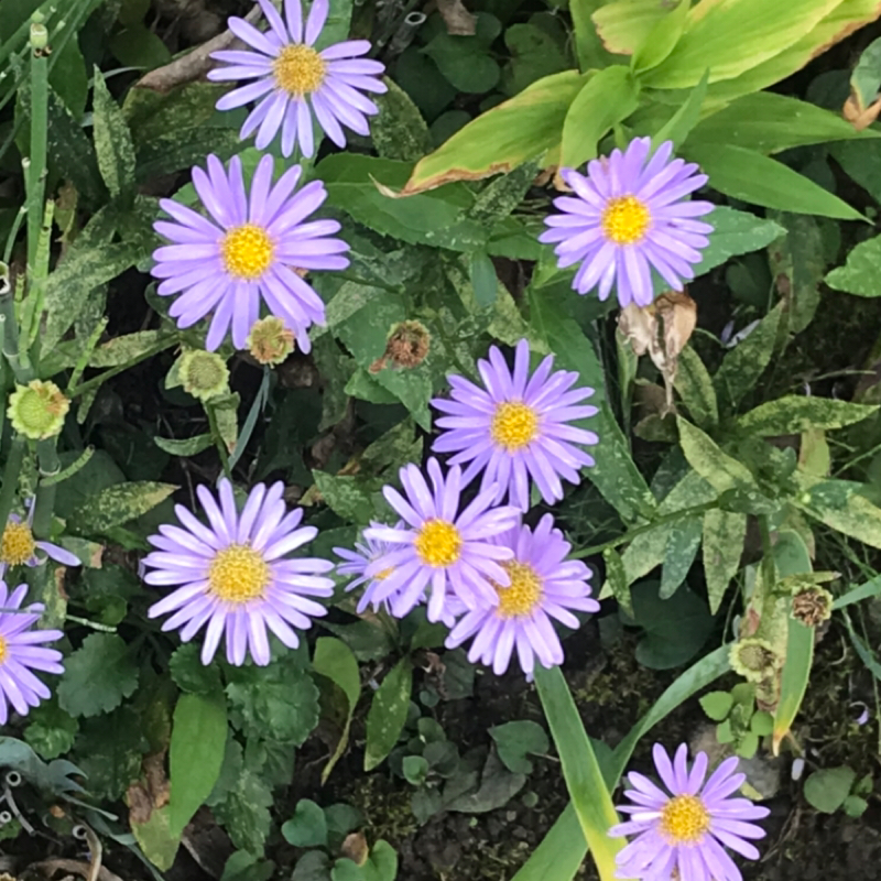 ねむれないあなたへメッセージ💌