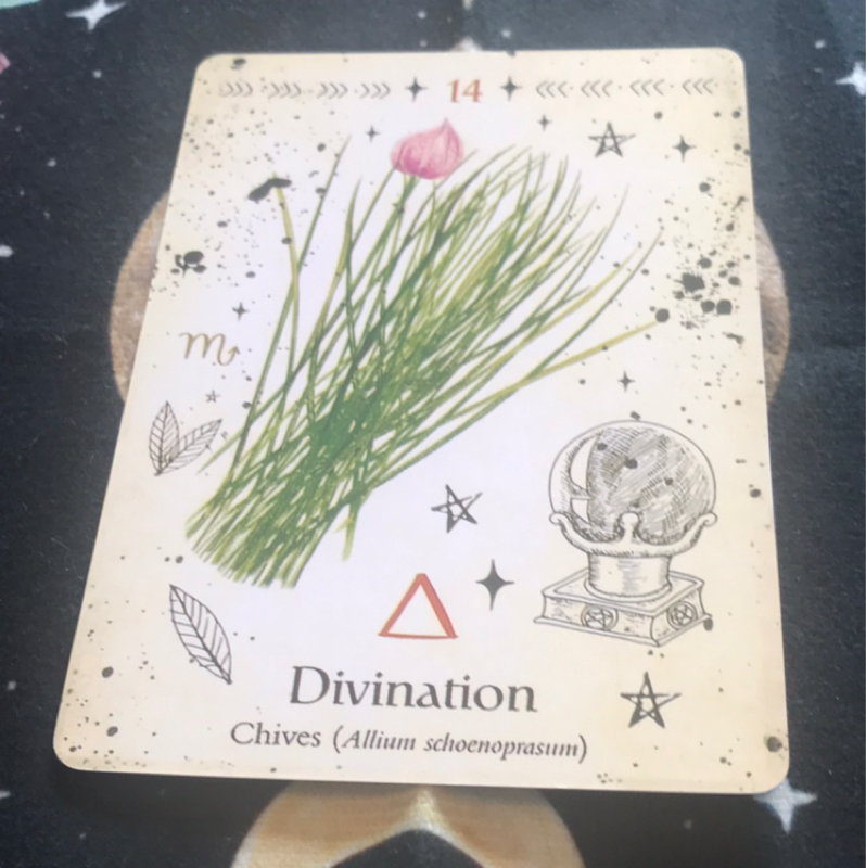 9/22  🔮双葉の癒し葉メッセージ🌱#004