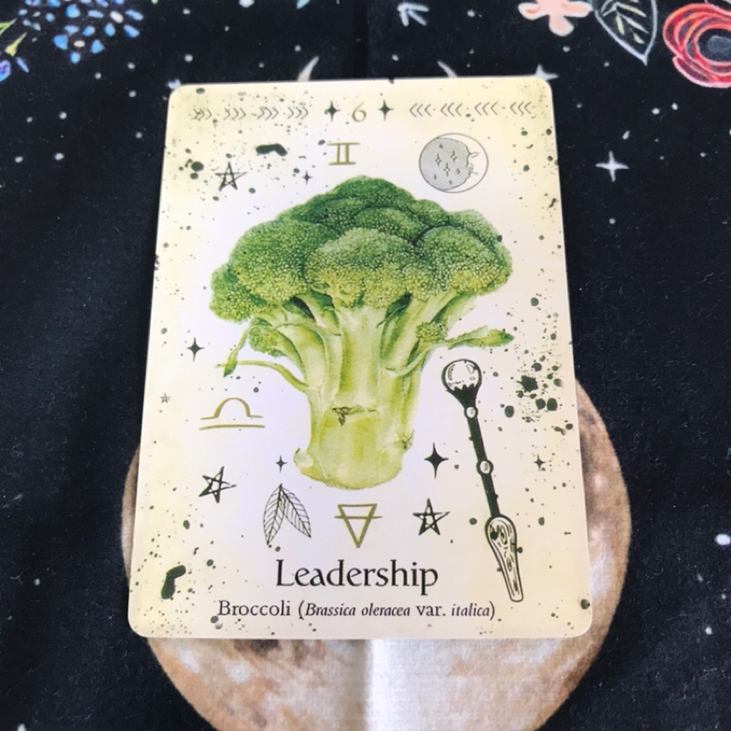 🔮双葉の癒し葉メッセージ🌱#006