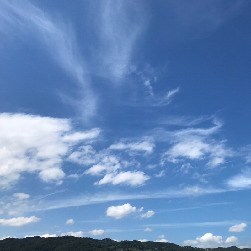 9/25 #005