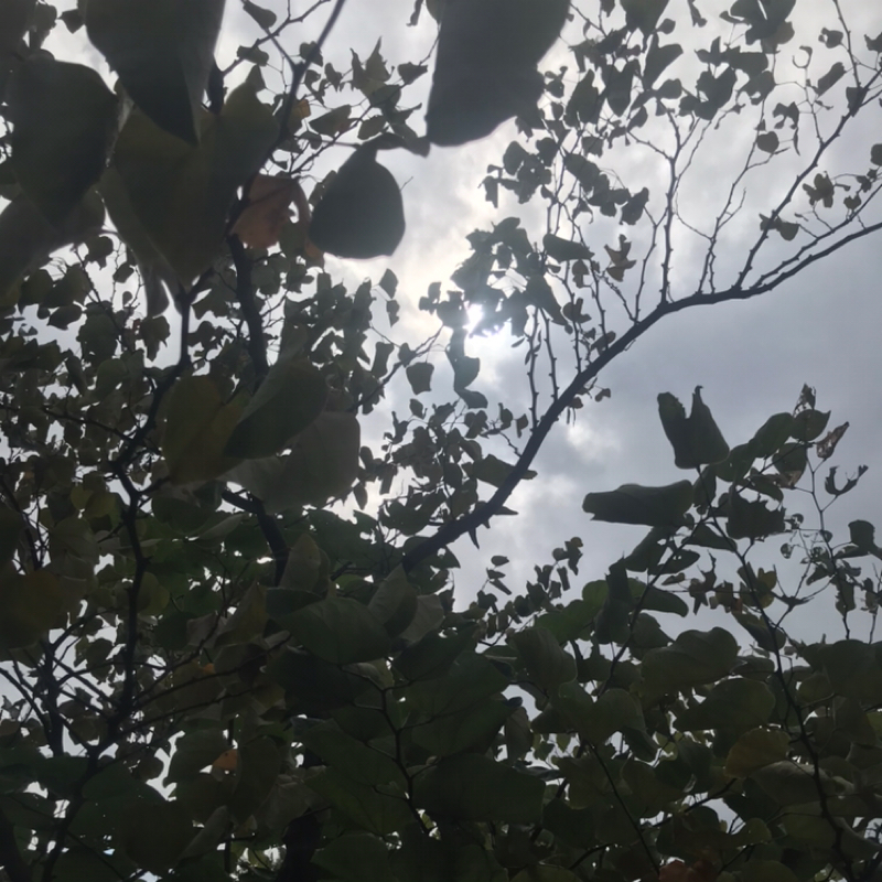 9/27