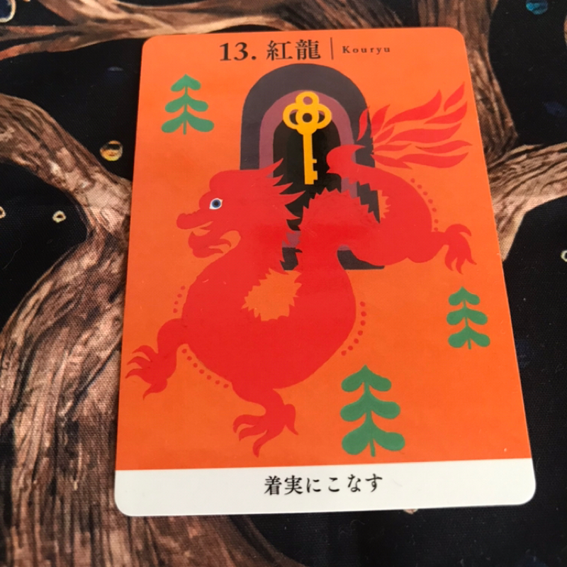龍さんからメッセージ　13.紅龍