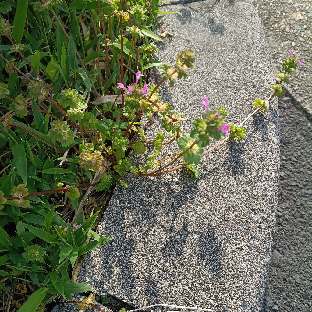 27卒、就活について